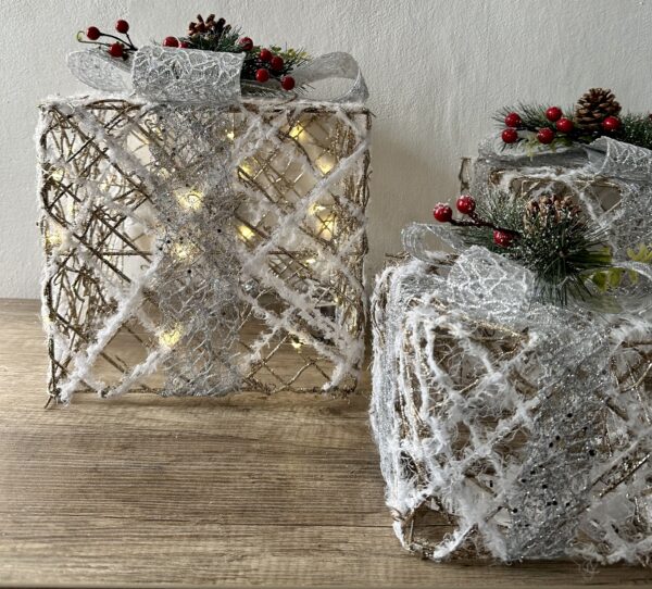Set pacco regalo fiocco argento - immagine 5