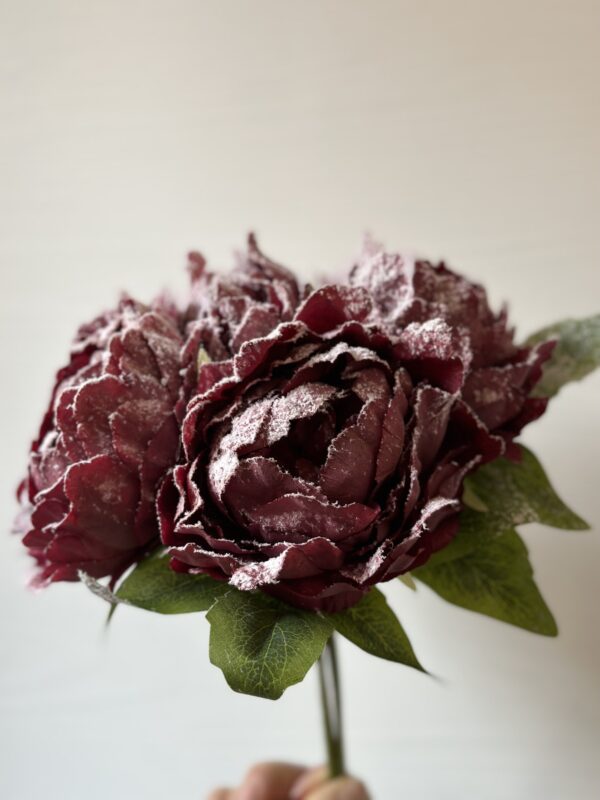 Bouquet peonie bordeaux - immagine 2