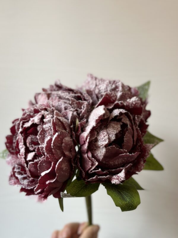 Bouquet peonie bordeaux