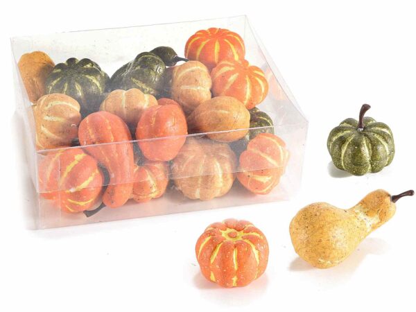 Assortimento 24 zucche