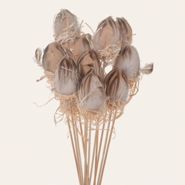 Pick uovo con piume chiaro