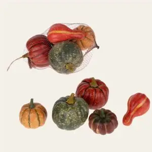 Set 5 zucche assortite