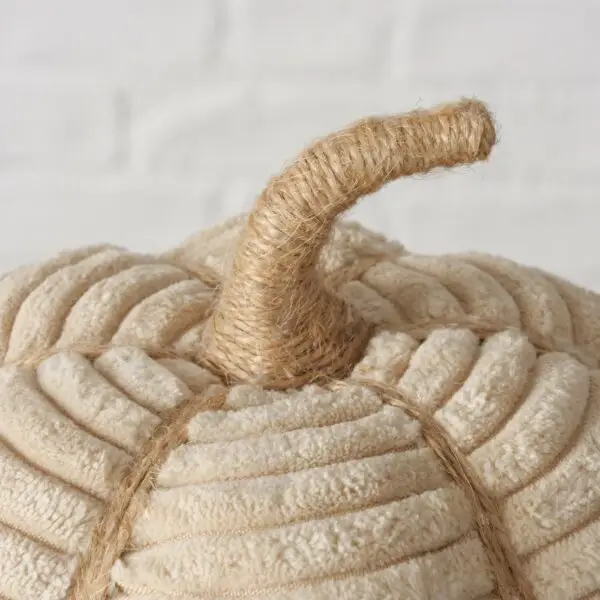Zucca Velluto panna - immagine 2