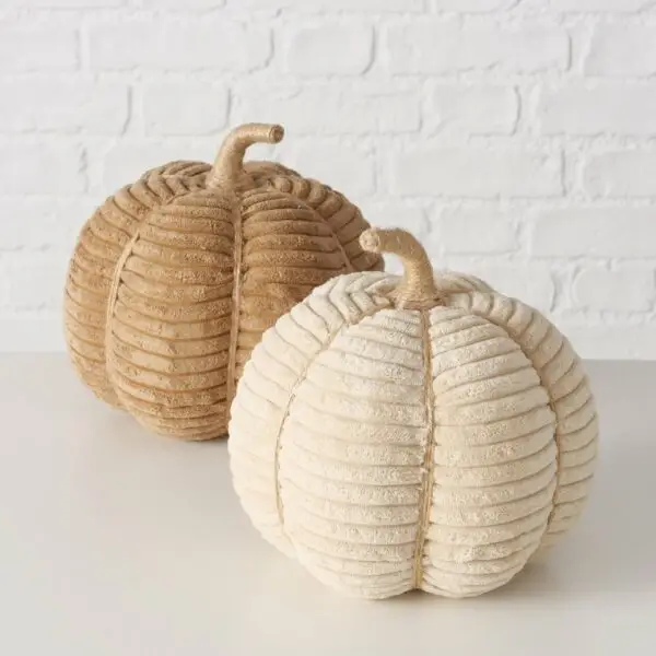 Zucca Velluto panna - immagine 3