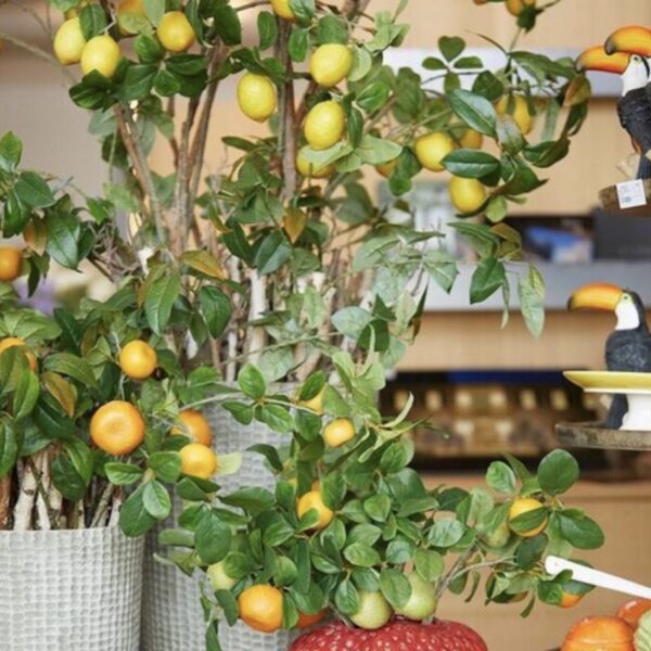 Ramo di Limone - immagine 2