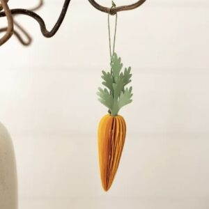 Carota appendibile Frodig