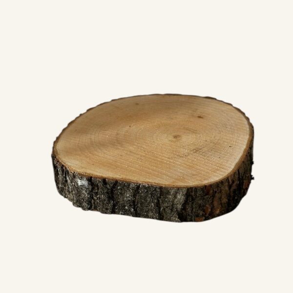 Fetta di legno S