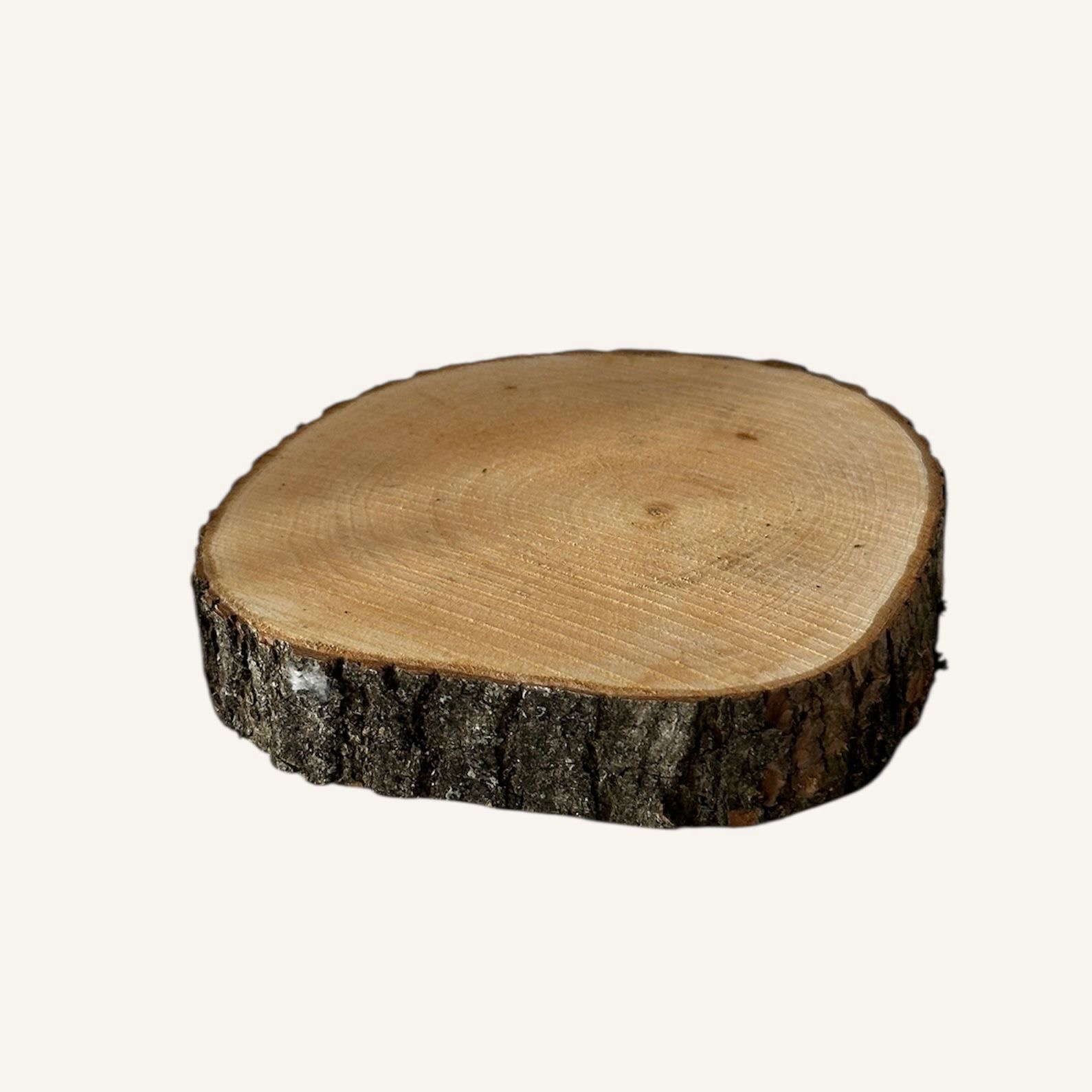 Fetta di legno S