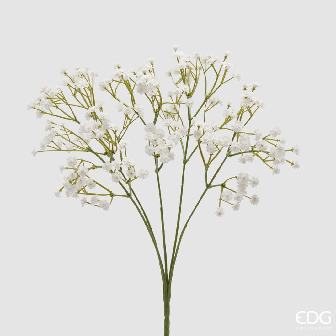Mazzo Gypsophila bianca