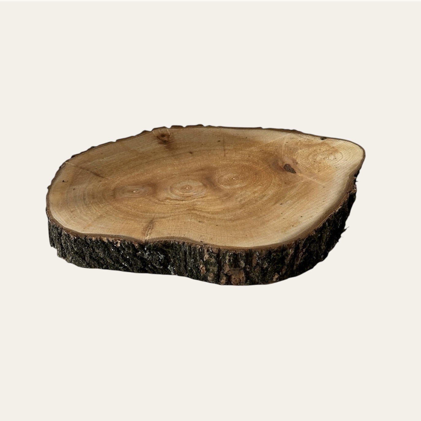 Fetta di legno M