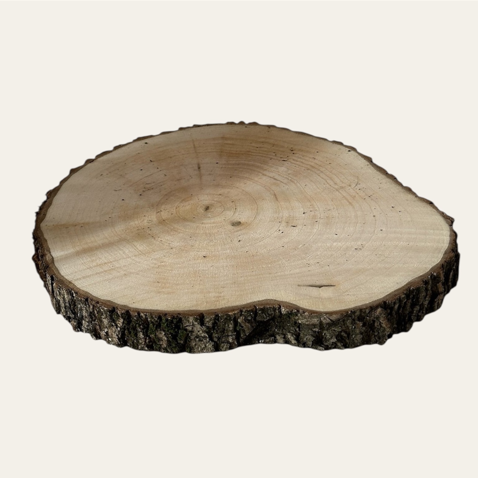 Fetta di legno L