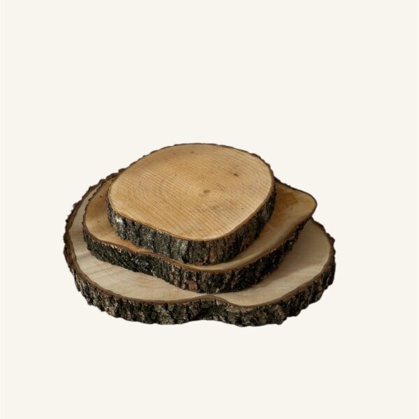 Fetta di legno M - immagine 3
