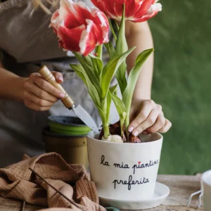 Vaso con sottovaso La mia piantina preferita